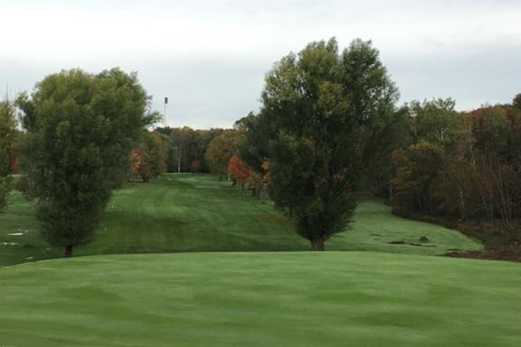 golf course green with trees